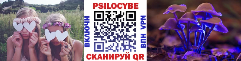 Псилоцибиновые грибы прущие грибы  наркошоп  Павлово 